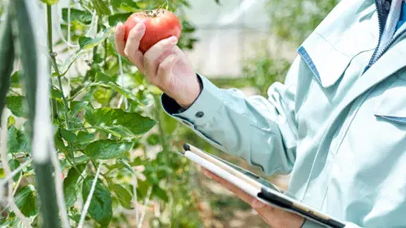 農業ソリューション