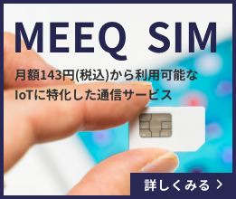 MEEQ SIM